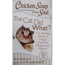 Chicken Soup For The Soul The Cat Did What