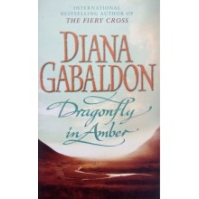 Dragonfly In Amber