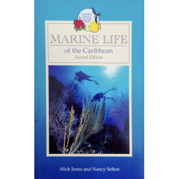 Marine Life Of The Carribean