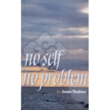 No Self No Problem