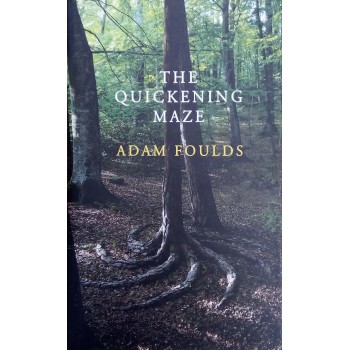 The Quickening Maze